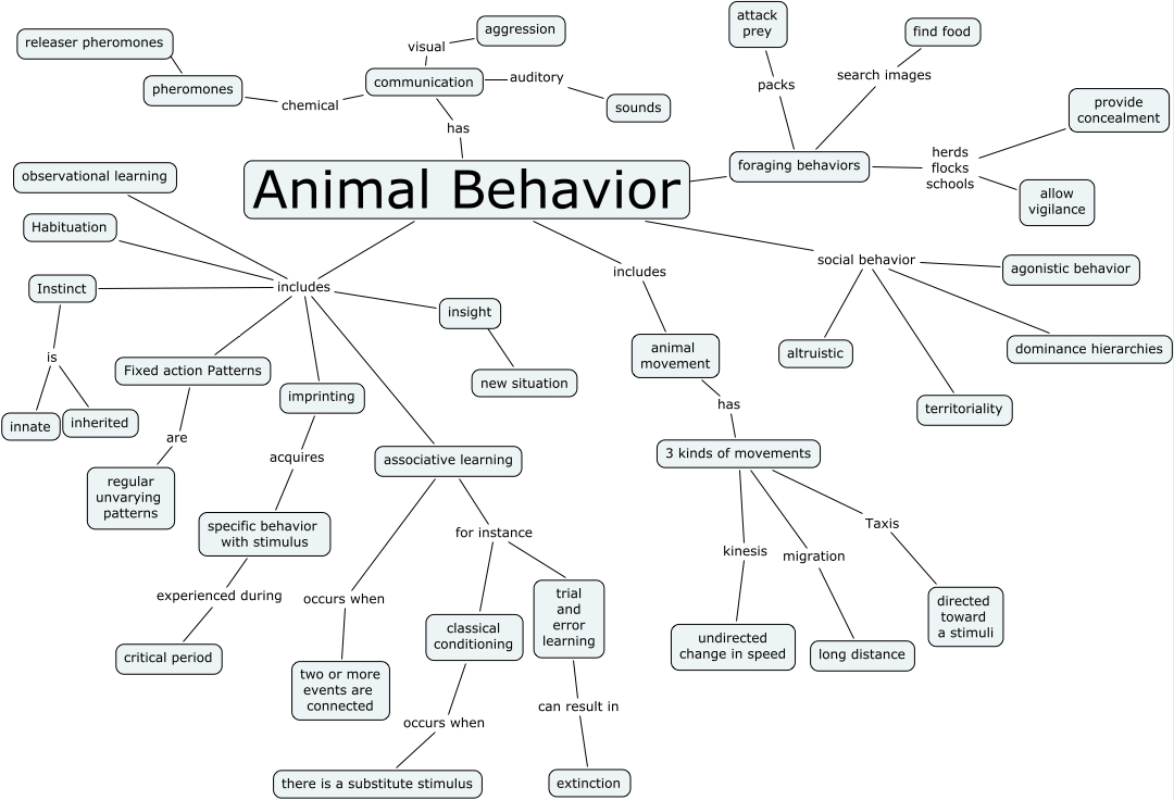 animal behavior